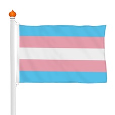 Transgendervlag