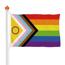 Intersekse Progress vlag