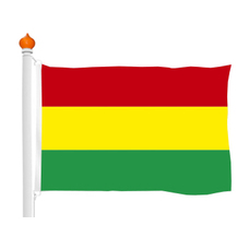 Carnavalsvlag