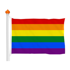 Regenboogvlag