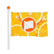 Vlag 100x70cm