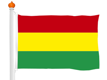 Carnavalsvlag