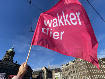 Zwaaivlaggen
