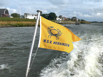 Scheepsvlaggen